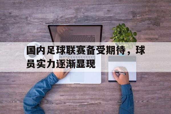 国内足球联赛备受期待，球员实力逐渐显现的简单介绍